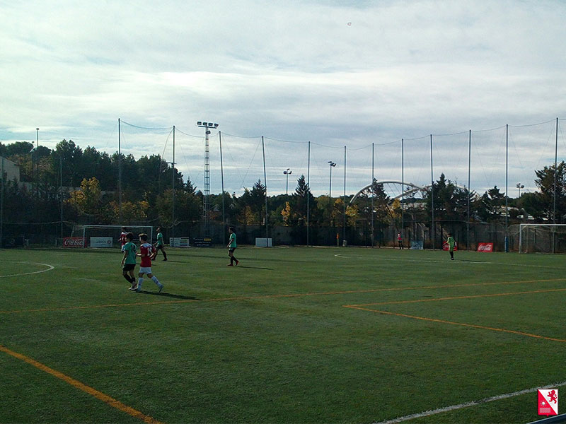 Futbol Stadium Venecia