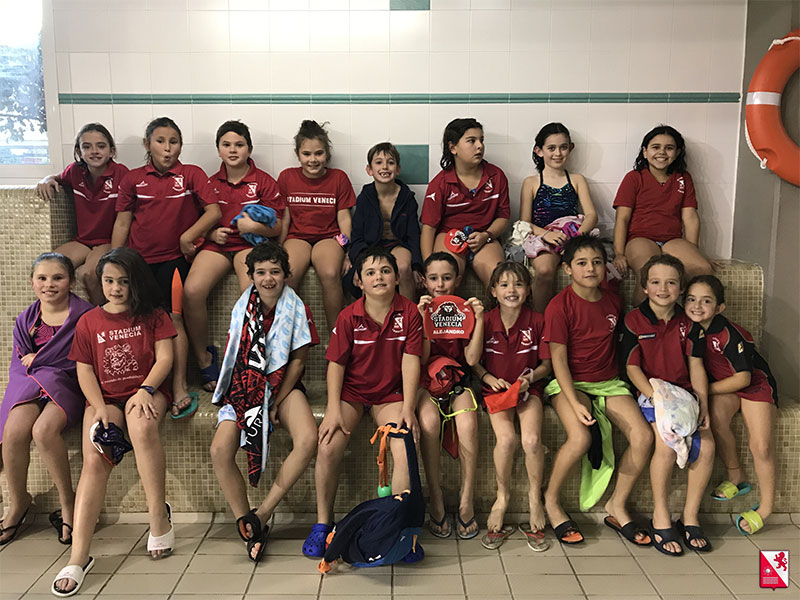 Natacion liga prebenjamin