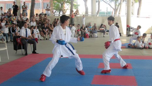 Fin de temporada karate