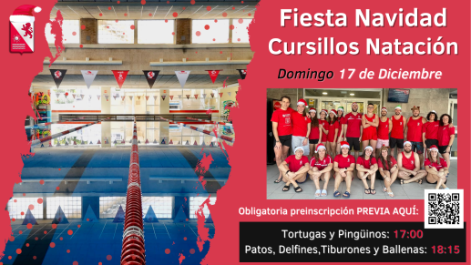 Fiesta de Navidad cursillos